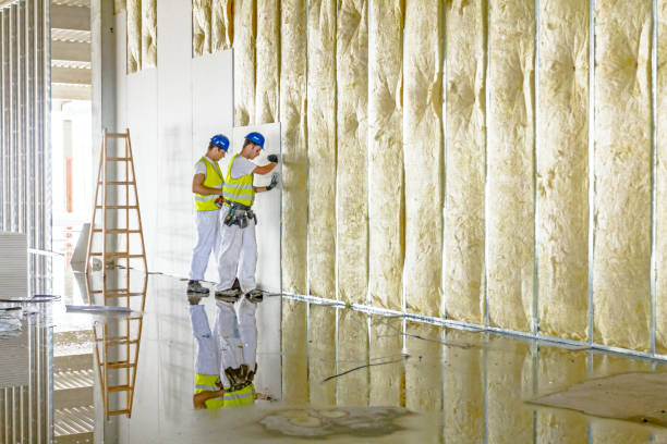 Best Commercial Insulation in West Peoria, IL